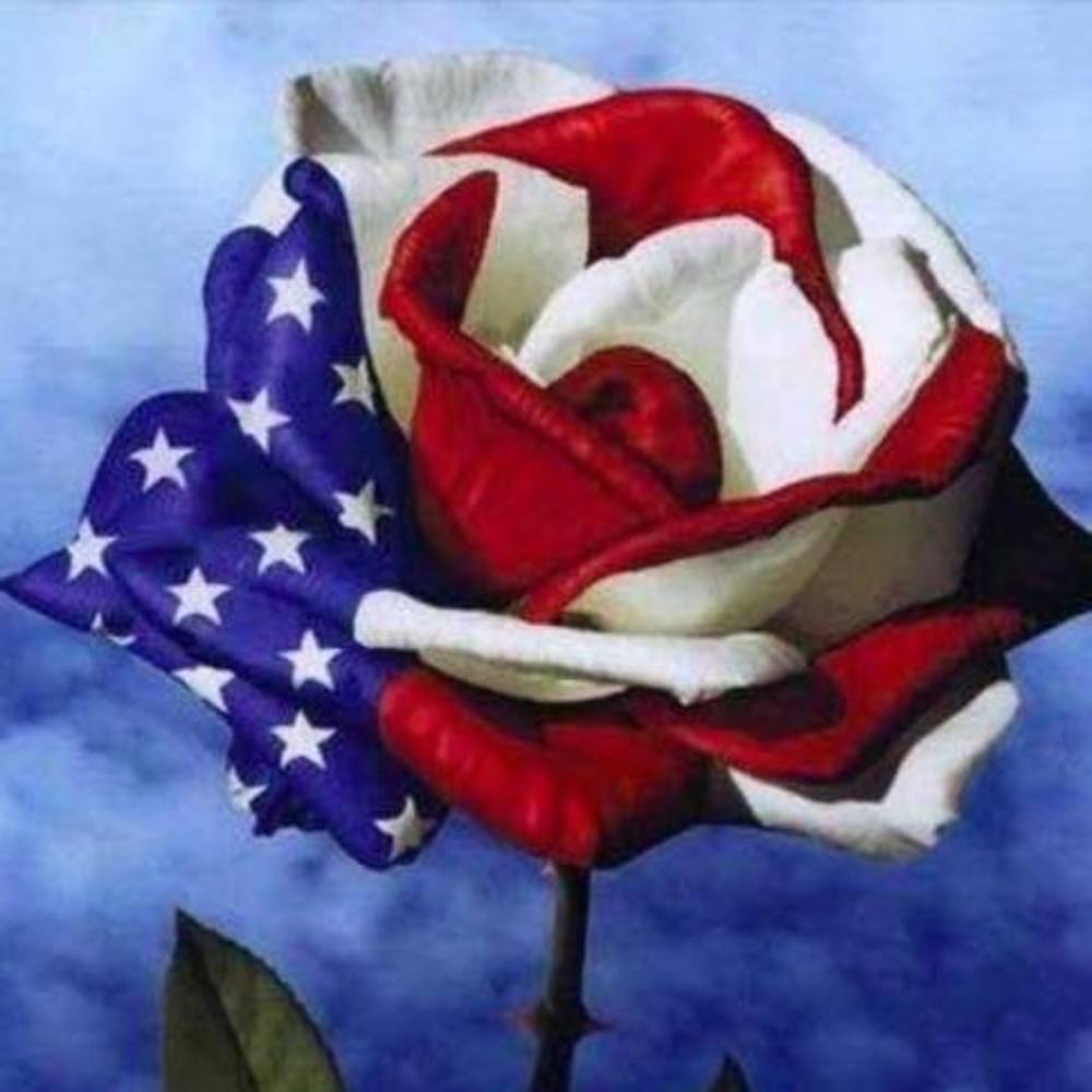 Meet your Posher, Lana